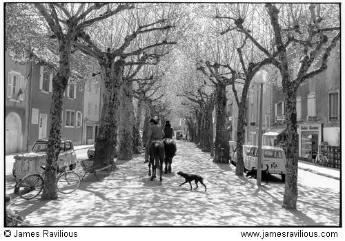 Tree-lined street with riders, Florac, C�vennes, France, 1982