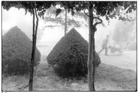 Early morning, public park, San Gimigniano, Italy, 1978
