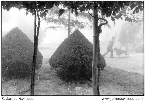 Early morning, public park, San Gimigniano, Italy, 1978