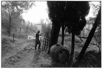 Farmer, near San Gimigniano, Italy, 1978