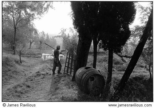 Farmer, near San Gimigniano, Italy, 1978