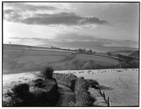 View towards Iddesleigh & Dartmoor, Iddesleigh, Devon, England, c1985