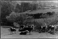Llanthony Priory, Monmouthshire, Wales, 1977