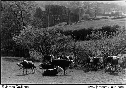 Llanthony Priory, Monmouthshire, Wales, 1977