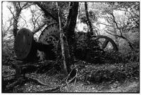 Old mill machinery, Luxulyan, Cornwall, England, c1985