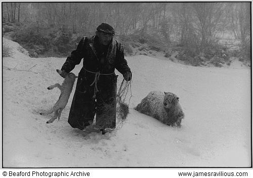 Ivor Brock rescuing a lamb in a blizzard, Millhams, Dolton, Devon, England, 1978