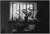 Farmhouse window with apple basket, Langham, Dolton, Devon, England, 1985