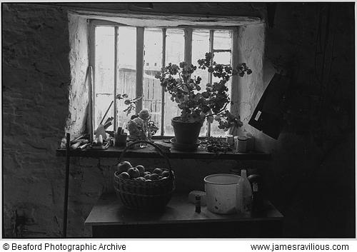 Farmhouse window with apple basket, Langham, Dolton, Devon, England, 1985